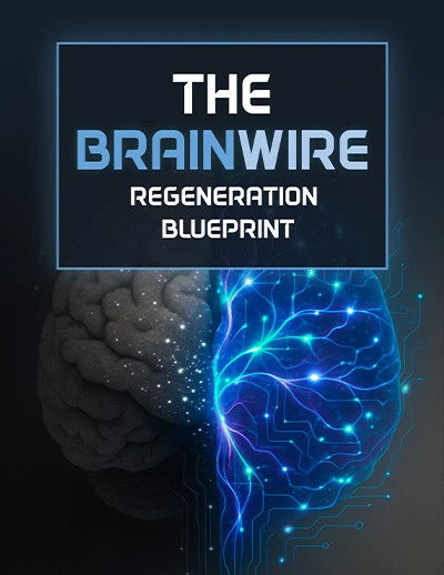 Audifort Bonus2 The Brainwire